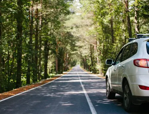 The Ultimate Road Trip from Los Angeles to Big Bear
