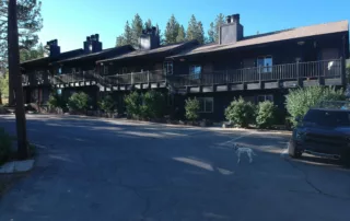 Ford Truck and Dalmatian Dog Hotels near Big Bear Lake
